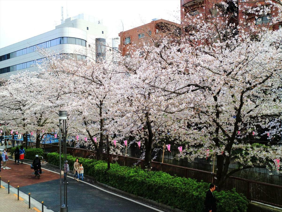 דירות Coto Tokyo Shibuya 6 מראה חיצוני תמונה